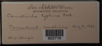 Image Associated With the Occurence